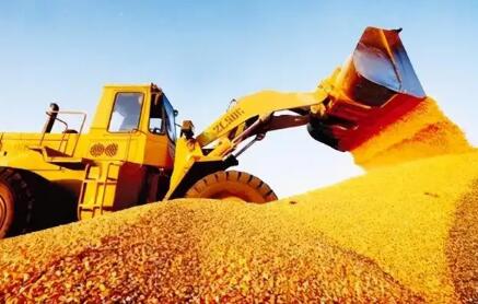 主產(chǎn)區(qū)糧企收購超6300萬噸 秋糧收購全面有序推進