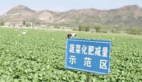 農(nóng)業(yè)農(nóng)村部：到2025年有機肥施用面積占比增加5個百分點以上