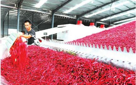 山西：產(chǎn)業(yè)幫扶，美了鄉(xiāng)村富了農(nóng)民