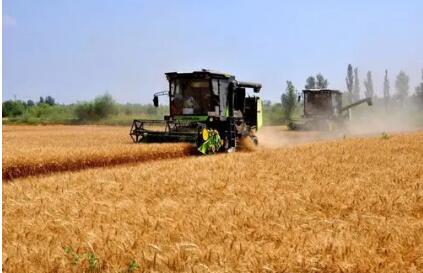 倉(cāng)滿廩實(shí)話豐收——2022年甘肅省糧食總產(chǎn)達(dá)1265萬噸再創(chuàng)歷史新高