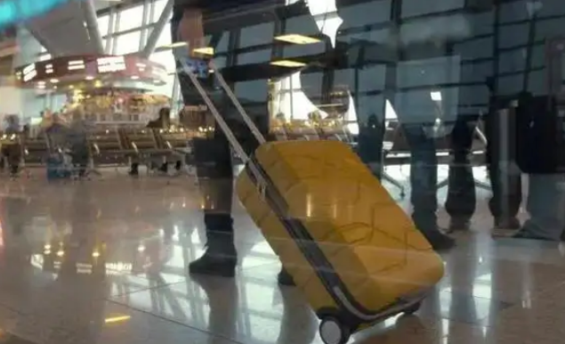 中國公民有序恢復(fù)出境旅游！全球多國發(fā)聲