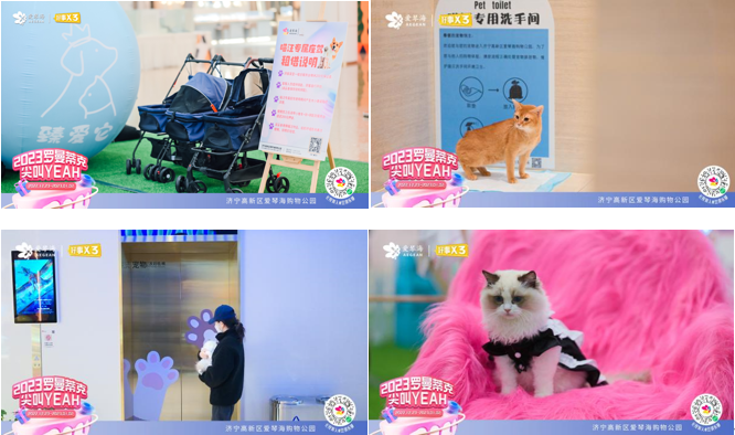 20230103112006256.png 20230103112006256.png