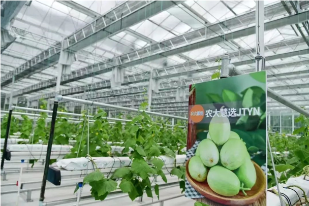 20230104185648497.png 20230104185648497.png