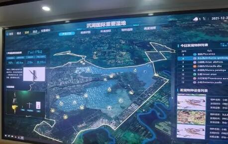 中國電信助力武漢首個“智慧濕地”建設(shè)項目升級完成