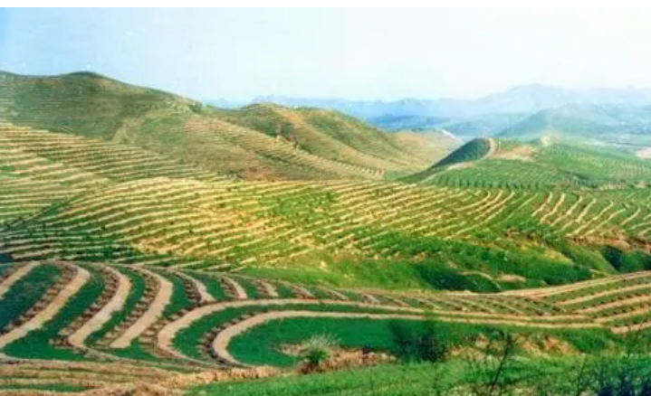 黨的十八大以來，全國共治理水土流失面積59.74萬平方公里