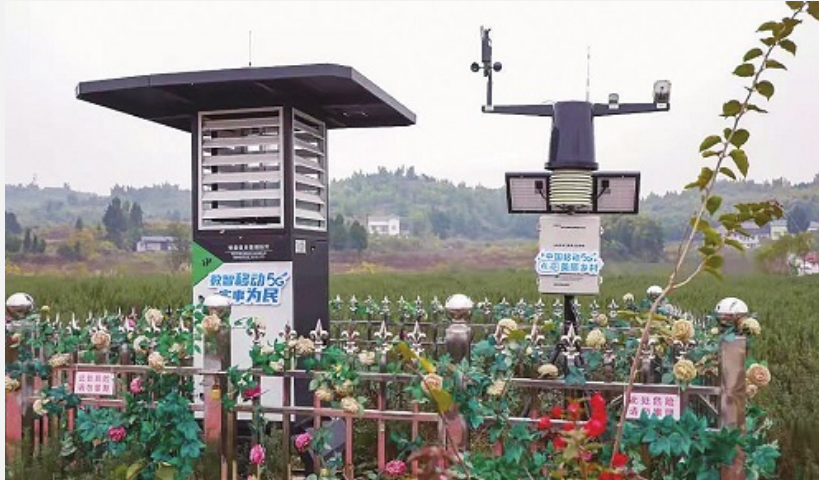 中國(guó)移動(dòng)：賦能數(shù)字鄉(xiāng)村建設(shè) 讓美麗鄉(xiāng)村煥發(fā)勃勃生機(jī)