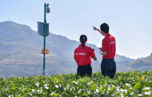 數(shù)字慧農(nóng) 智慧興村！中國(guó)聯(lián)通暢通福建信息動(dòng)脈 助力數(shù)字鄉(xiāng)村建設(shè)