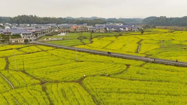 發(fā)出重農(nóng)強(qiáng)農(nóng)強(qiáng)烈信號(hào)！三個(gè)關(guān)鍵詞解讀2023年中央一號(hào)文件