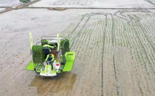 中農(nóng)集團(tuán)：農(nóng)資保供 “一對(duì)一”服務(wù) 化肥減量增效