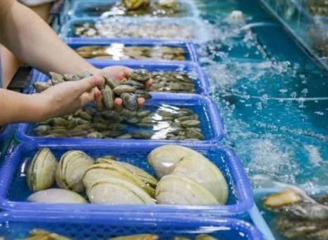 現(xiàn)蒸現(xiàn)吃迎合大眾需求 蒸汽海鮮未來(lái)可期