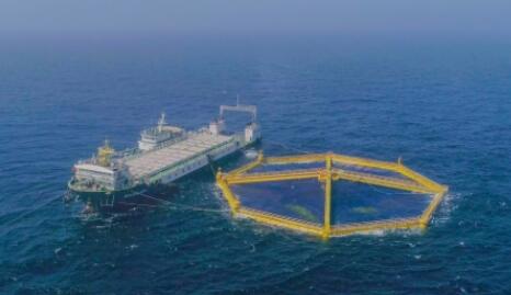 山東海洋集團(tuán)推動養(yǎng)殖數(shù)字化 探索深海養(yǎng)殖新模式