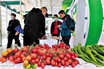 中國種子積極“走出去” “遍地開花”仍需過關邁檻