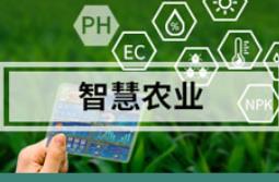 中國(guó)搭建智慧農(nóng)業(yè)平臺(tái) 打造數(shù)字農(nóng)業(yè)領(lǐng)域國(guó)際“風(fēng)向標(biāo)”