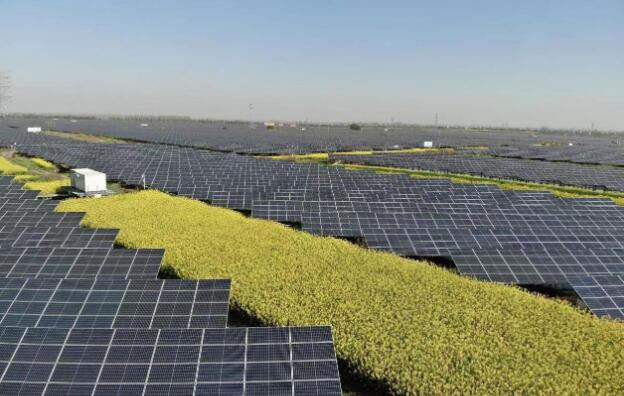 中國(guó)節(jié)能主要經(jīng)營(yíng)指標(biāo)同比增長(zhǎng) 實(shí)現(xiàn)首季“開門紅”