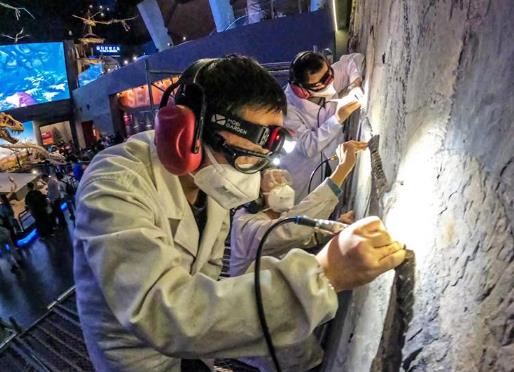 國(guó)家海洋博物館首次公開(kāi)修復(fù)化石全過(guò)程