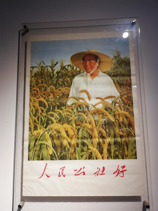 20230421100800244.png 圖片3.png