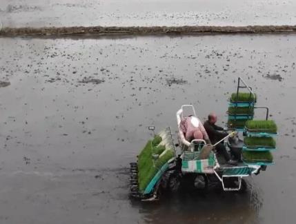 大型現(xiàn)代農機春耕“唱主角” 高標準農田建設助力增產增收