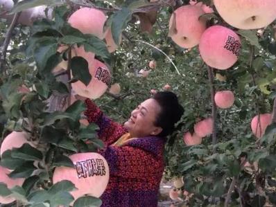 亞洲最大捕食螨商品化生產基地落戶福建閩侯