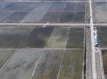 我國鹽堿地綜合利用取得積極進(jìn)展