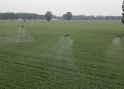 各地?fù)屪マr(nóng)時 扎實(shí)推進(jìn)農(nóng)業(yè)生產(chǎn)