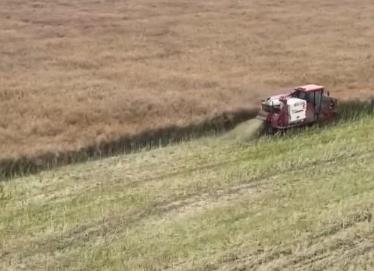 全國(guó)夏收油菜收獲近六成 夏油作物增產(chǎn)趨勢(shì)明顯