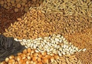 農(nóng)業(yè)農(nóng)村部組織完成第三批6省（區(qū)、市）農(nóng)作物種質(zhì)資源普查驗(yàn)收