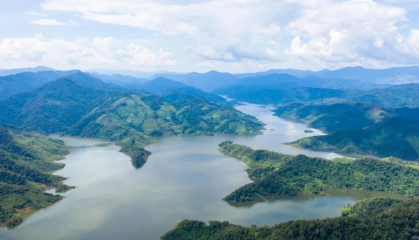 中國(guó)電建：為保護(hù)生物多樣性注入中企動(dòng)力