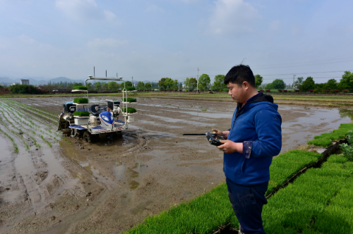 無人駕駛插秧機、精選雜交品種……各地搶抓農(nóng)時有妙招