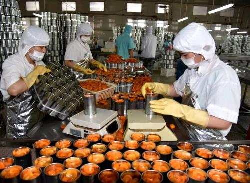 中國蔬菜罐頭火了！被歐洲瘋搶，有省份出口額增長一倍