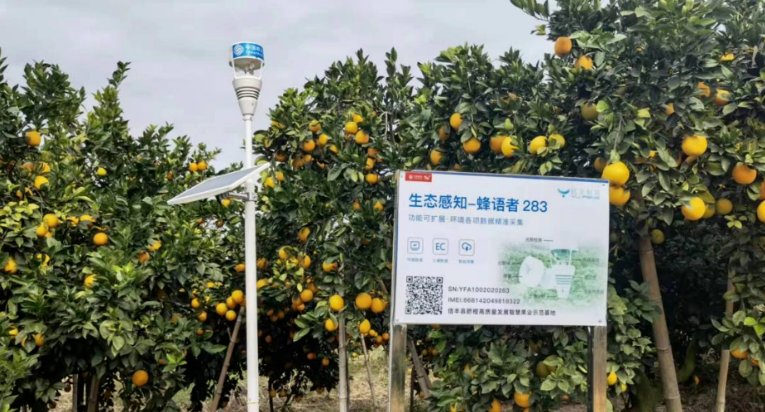 中國(guó)移動(dòng)聚焦數(shù)字經(jīng)濟(jì)“一號(hào)工程” 共繪贛鄱“精彩畫卷”