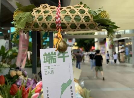 端午將至 艾草、香樟等契合節(jié)日氛圍的花卉走俏市場