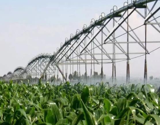 《全國(guó)現(xiàn)代設(shè)施農(nóng)業(yè)建設(shè)規(guī)劃（2023—2030年）》明確4方面重點(diǎn)任務(wù)