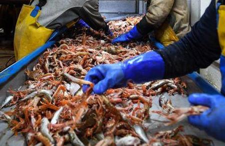 海關(guān)總署批準11家法國水產(chǎn)品企業(yè)在華注冊