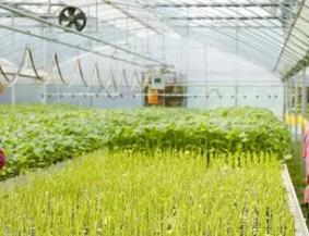 第十二屆全國蔬菜規(guī)?；咝в缂夹g(shù)經(jīng)驗(yàn)交流會(huì)在貴陽舉行