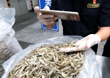 前5個(gè)月我國進(jìn)口非洲農(nóng)食產(chǎn)品增長26.5%