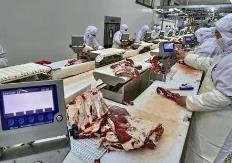 為肉類加工產(chǎn)業(yè)提供科技動(dòng)能