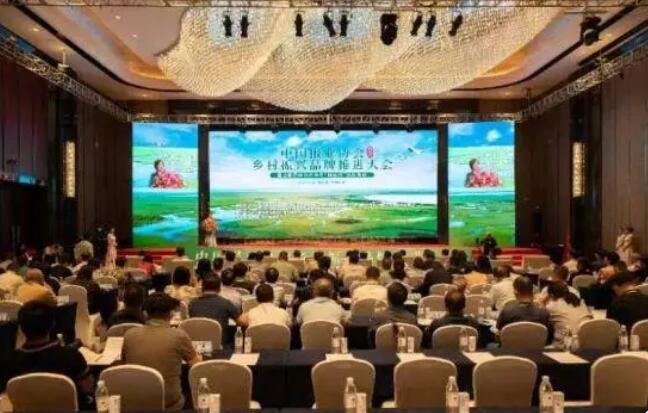中國報業(yè)協(xié)會鄉(xiāng)村振興品牌推進大會在齊齊哈爾舉行