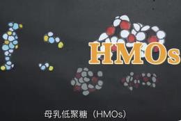 《母乳低聚糖（HMOs）的科學(xué)共識(shí)》發(fā)布 邁出產(chǎn)業(yè)化重要一步