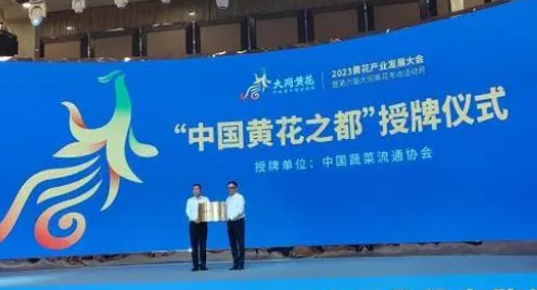 山西大同獲授“中國(guó)黃花之都”稱號(hào)