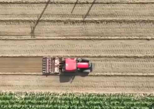 各受災區(qū)分作物分災情 分類施策抓好農業(yè)生產恢復