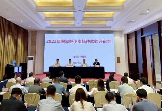 2022年國家冬小麥品種試驗評審會在安徽合肥召開