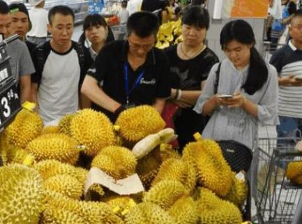 數(shù)據(jù)顯示：榴蓮消費熱度高