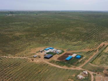 國家林草局：全力打好黃河“幾字彎”沙漠治理攻堅(jiān)戰(zhàn)