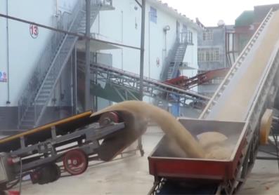 水稻迎豐收 多項(xiàng)舉措積極推進(jìn)糧食收購工作