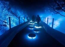 看景變“入景”，“出圈”又出彩 沉浸式旅游是怎樣的體驗？