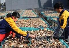 我國出口農(nóng)產(chǎn)品中有哪些拳頭產(chǎn)品