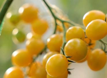 秋收了！喜看神州大地豐收新圖景