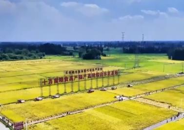 中國(guó)大地五谷豐登、瓜果飄香 一派豐收景象