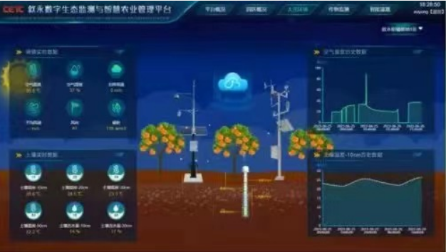 守護“糧”辰美景 中國電科科技助農繪就豐收新畫卷