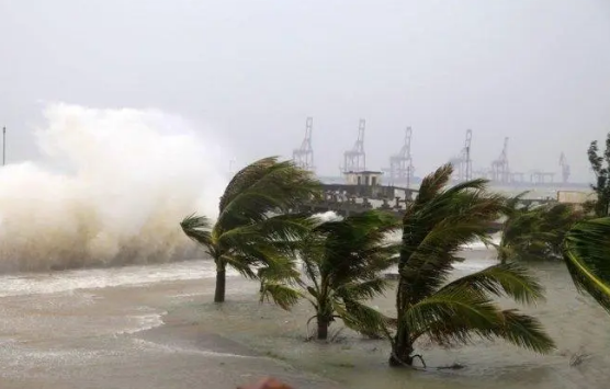 應(yīng)急管理部發(fā)布2023年前三季度全國(guó)自然災(zāi)害情況